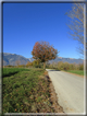 foto Alle pendici del Monte Grappa in Autunno